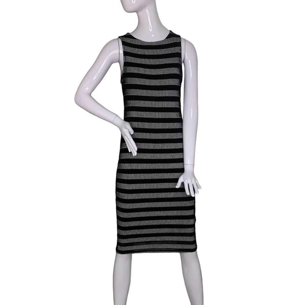 Poetry Dress Sleeveless Full Lining Pullover Pinstripe Black and White S…